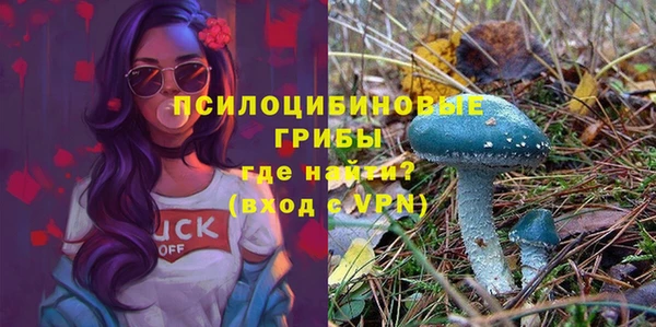 бошки Алексин