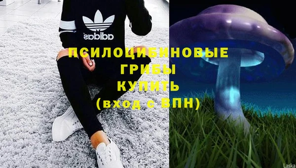 MDMA Premium VHQ Алексеевка