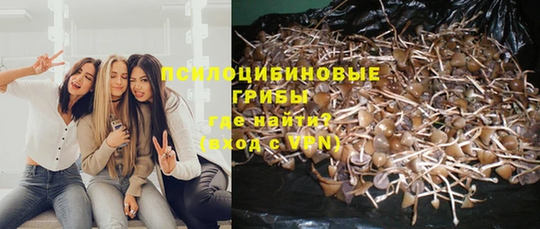 соль ск Абинск