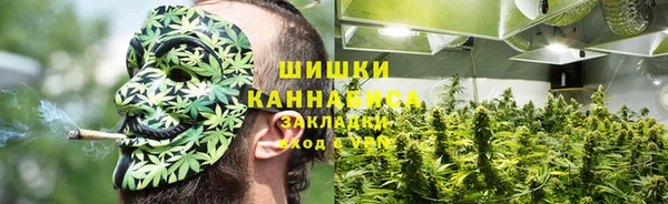 бошки Алексин