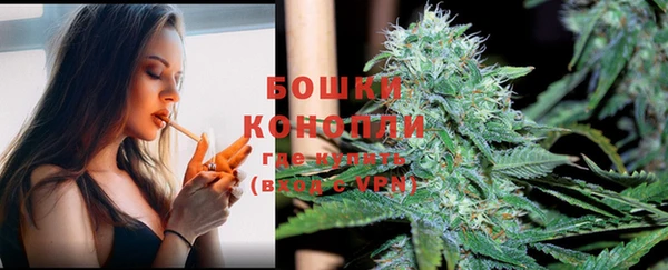 бошки Алексин