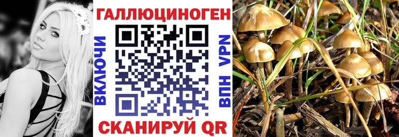 Псилоцибиновые грибы Magic Shrooms  Адыгейск 